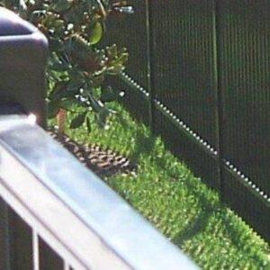 commercial-aluminum-railing-systems